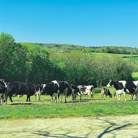 « Le Vieux Hangar » Gite A La Ferme Truffe Ngoại thất bức ảnh