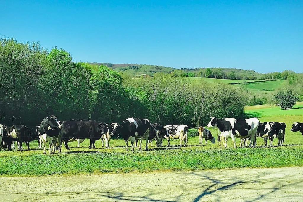 « Le Vieux Hangar » Gite A La Ferme Truffe Ngoại thất bức ảnh
